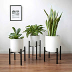 Bela Adjustable Metal Plant Stand | Rust-Resistant, Dual Height