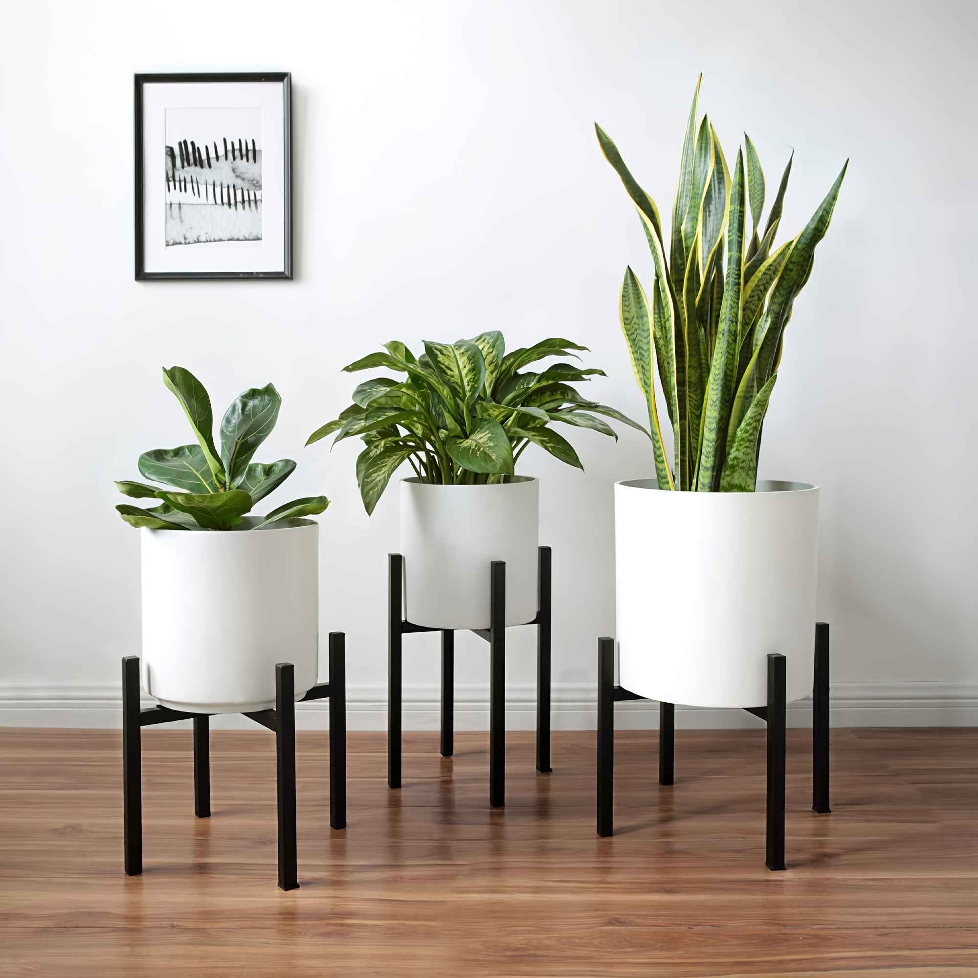 Bela Adjustable Metal Plant Stand | Rust-Resistant, Dual Height