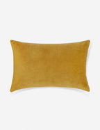 Cleo Velvet Lumbar Pillow | Luxe Texture, Soft Color