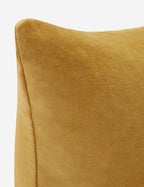 Cleo Velvet Lumbar Pillow | Luxe Texture, Soft Color