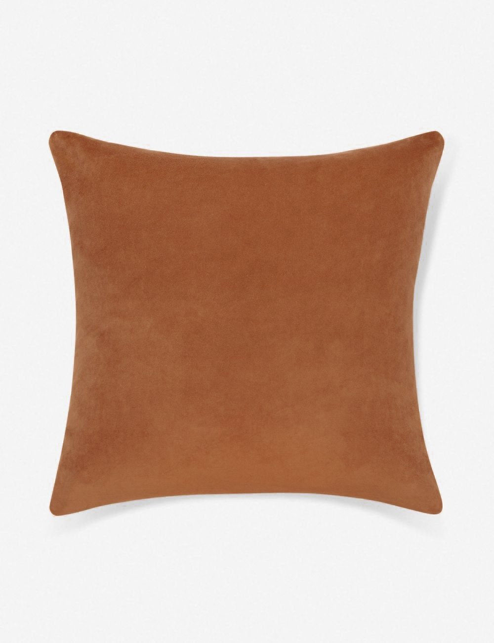 Bela Velvet Pillow | Luxurious Texture, Elegant Finish