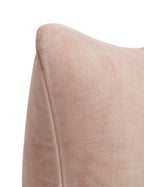 Charlotte Velvet Pillow