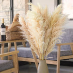Bela Dried Pampas Grass Bouquet | 10 XL Stems, Natural Elegance