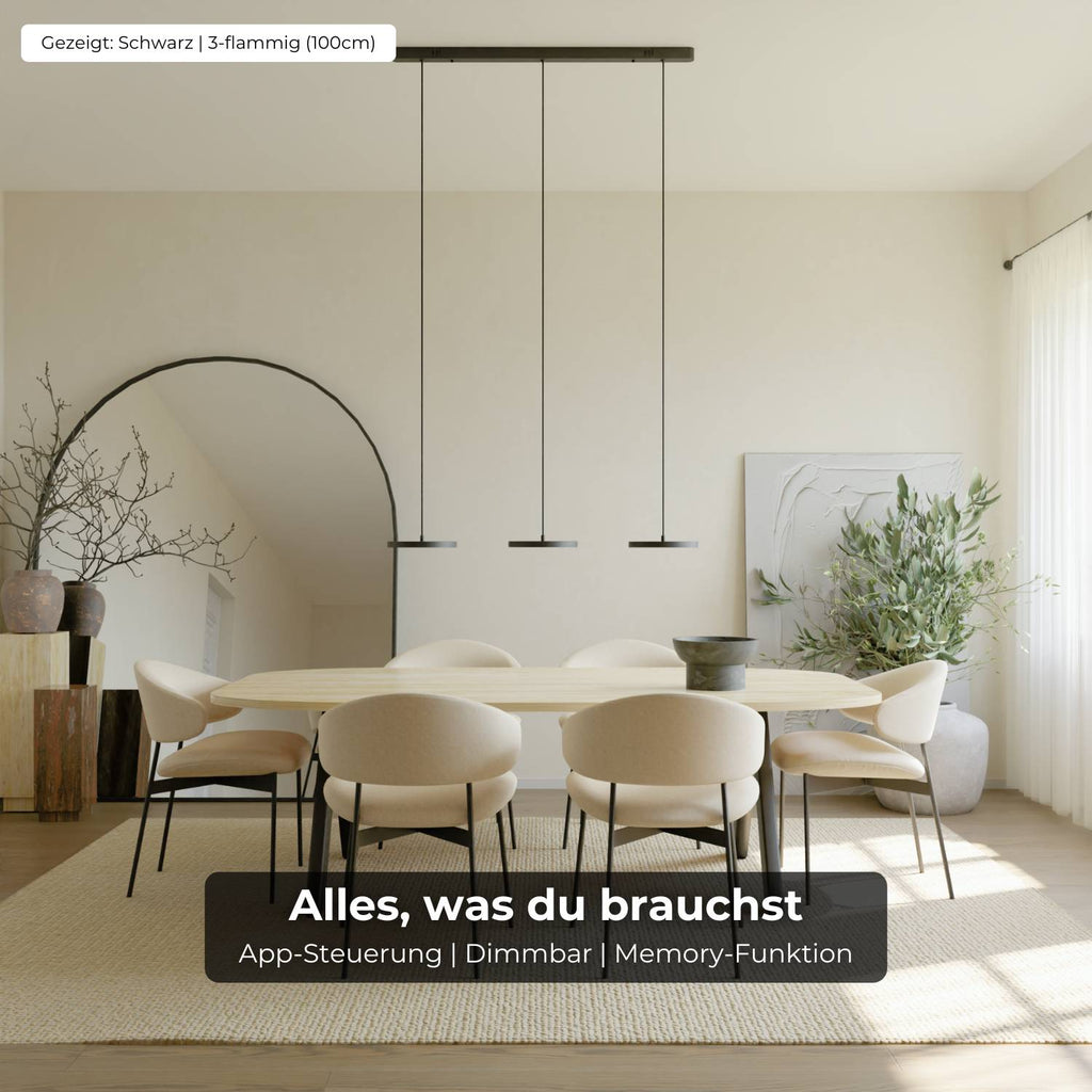 Elysian Pendant Light | DALI-2 DT8 Design, Modern Aesthetic