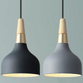 Contemporary Macaron Disc 1-Light Pendant Lamp