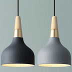 Contemporary Macaron Disc 1-Light Pendant Lamp