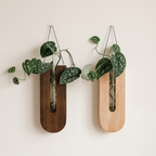 Wall-Mounted Wooden Vase Holder Set – Solid Pine, Wall Mount, Set of 7