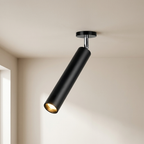 Ceiling Light Metal Integrated LED Modern Indoor Flush Mount Lighting Fixture
