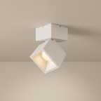 Adjustable Cube LED Ceiling Light, Semi-Flush Mount, Dimmable, Aluminum
