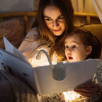 Reading Lamp LED Clip On Flexible Neck Wireless Design