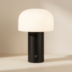 Rechargeable LED Table Lamp Touch Control 5W LED Type C USB Charging