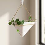 Geometric Terrarium Wall Hanging Display for Succulents and Air Plants