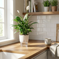 Self Watering Planter PP PET Material Plant Pot