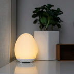 Touch Control LED Night Light with RGB Colors and Warm White, 100h Battery Life, Portable Night Lamp for Baby's Room