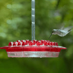Avelionn – Hanging nectar feeder with ant moat for hummingbirds