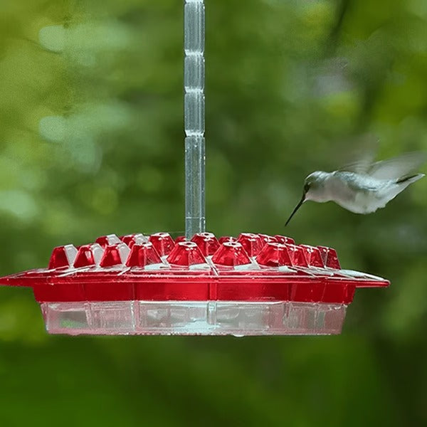 Avelionn – Hanging nectar feeder with ant moat for hummingbirds