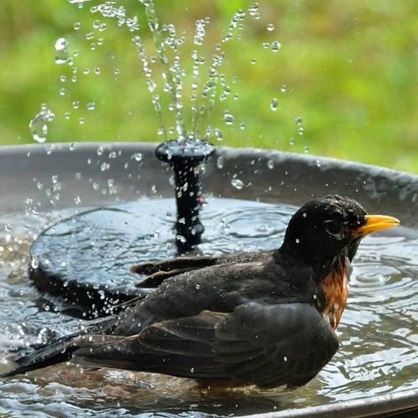 Aqualisse – Solar energy fountain pump for garden water feature
