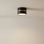 LED Ceiling Spotlight Adjustable Direction Aluminum Ceiling Light