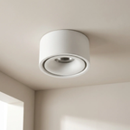 Ceiling Spotlight Adjustable Head Matte Aluminum Integrated LED