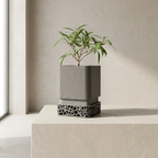 Geometric Plant Pot with Drainage Hole and Removable Tray Lightweight Plastic