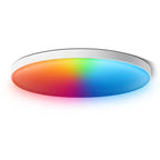 Smart LED Ceiling Light, 24W, RGB White Warm White, Surface Mounted