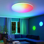 Smart LED Ceiling Light, 24W, RGB White Warm White, Surface Mounted