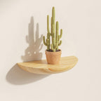 Half-Round Floating Shelf, Natural Wood, Wall Mounted, Multiple Colors