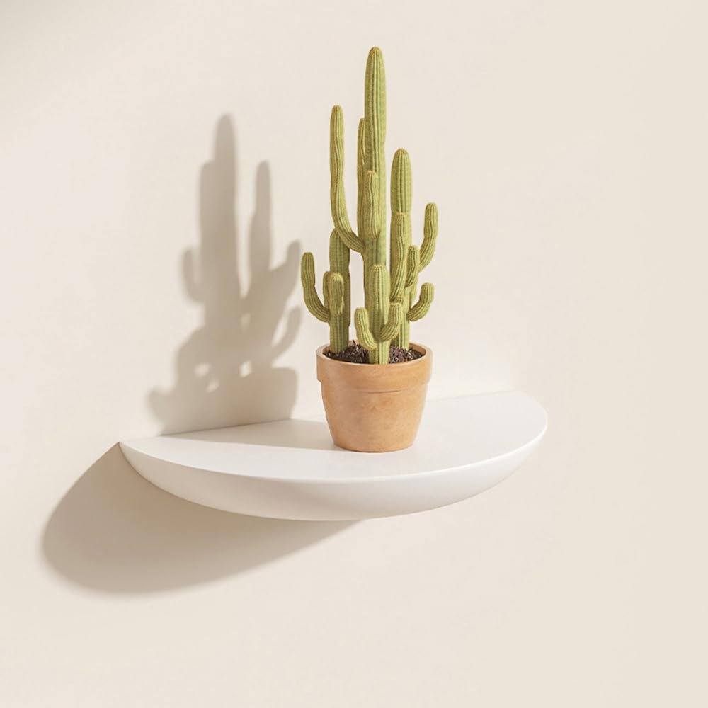 Half-Round Floating Shelf, Natural Wood, Wall Mounted, Multiple Colors