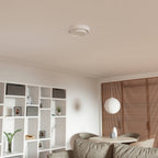 Aurelia Ceiling Light | Striking Design, enhances your home