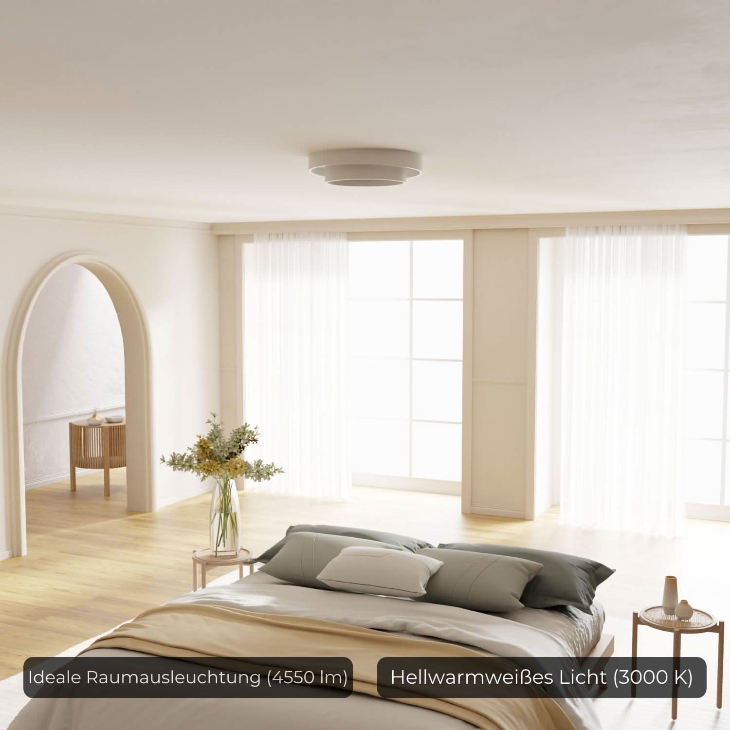 Brio Ceiling Light | Modern Design, Energy Efficient