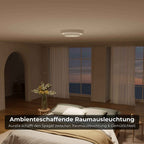 Brio Ceiling Light | Modern Design, Energy Efficient