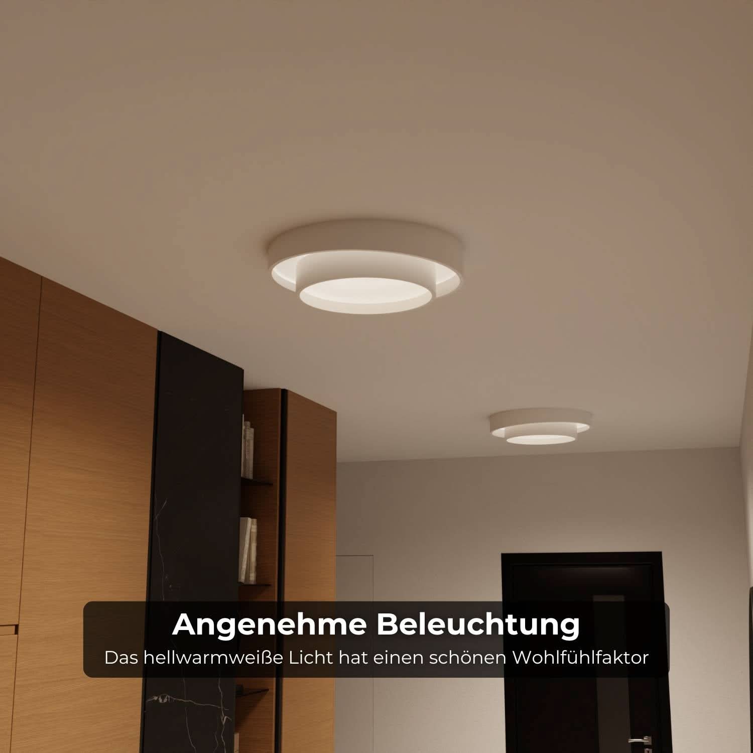 Brio Ceiling Light | Modern Design, Energy Efficient