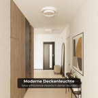 Brio Ceiling Light | Modern Design, Energy Efficient
