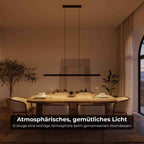 Cielo Pendant Light | Modern Design, Timeless Elegance