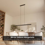 Cielo Pendant Light | Modern Design, Timeless Elegance