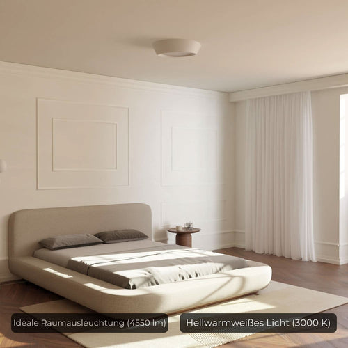Bela Ceiling Light | Modern Design, Energy Efficient