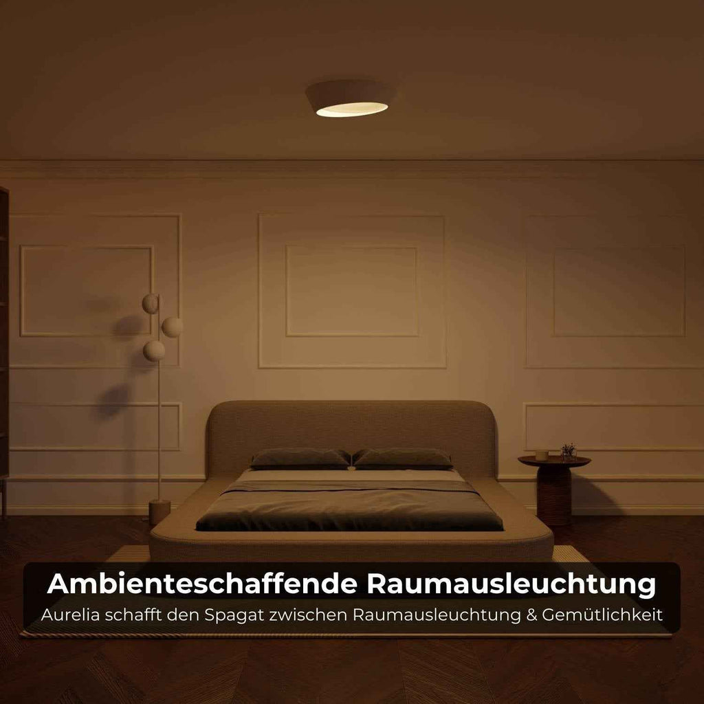 Celestia Ceiling Light | Striking Design, Enhances Space