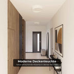 Bela Ceiling Light | Modern Design, Energy Efficient
