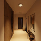 Celestia Ceiling Light | Striking Design, Enhances Space