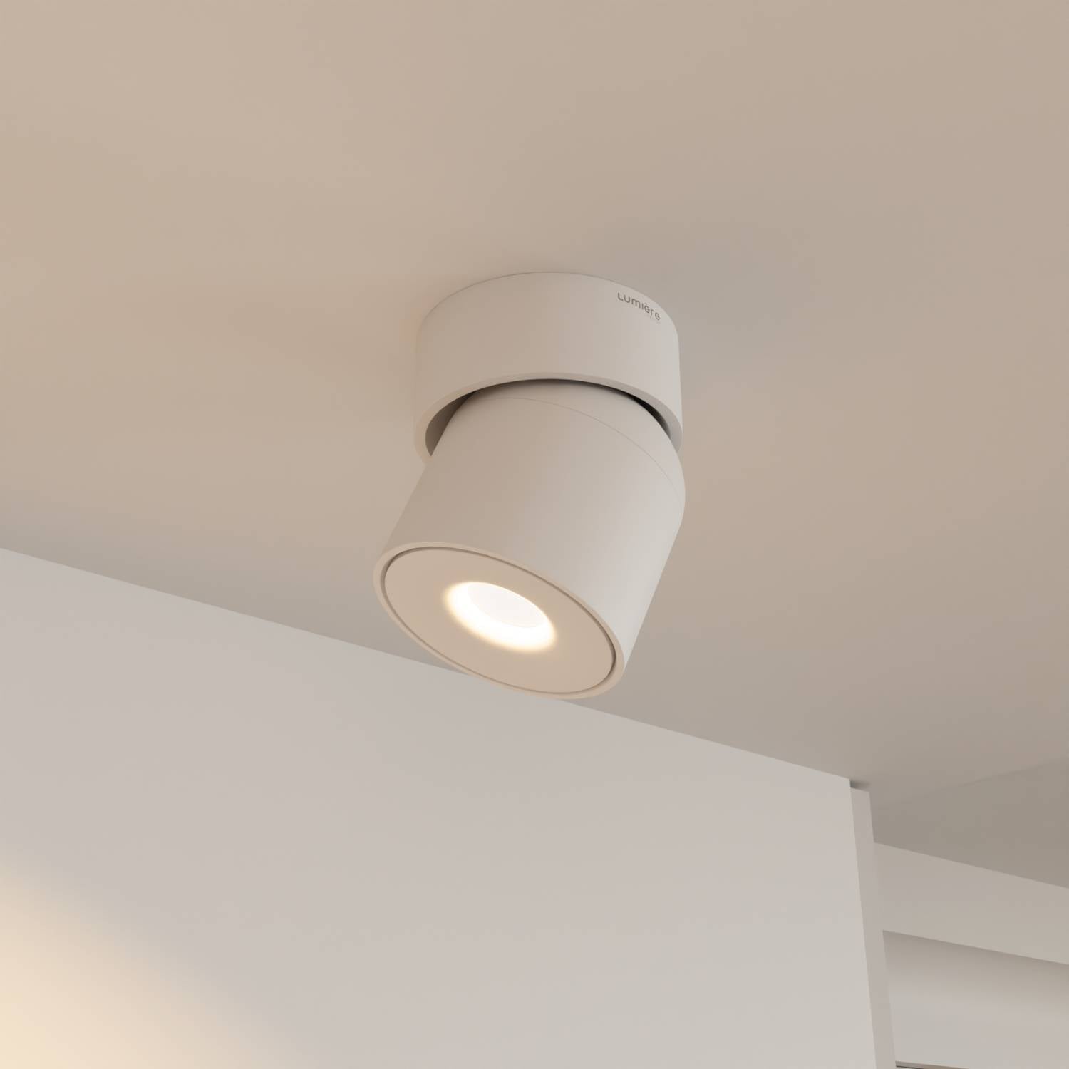 Esol Adjustable Ceiling Light | 350° Rotating Head, Warm White 2700K