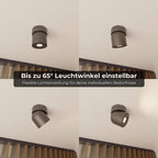 Esol Adjustable Ceiling Light | 350° Rotating Head, Warm White 2700K