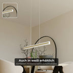 Bela Pendant Light | DALI-2 DT8 Design
