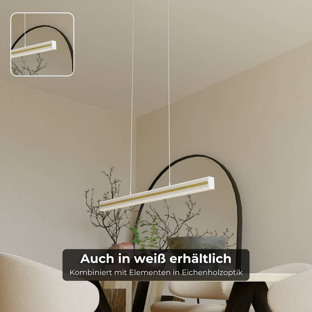 Kaleo Pendant Light | Modern Design, DALI-2 DT8 Technology