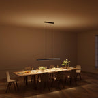 Bela Pendant Light | DALI-2 DT8 Design