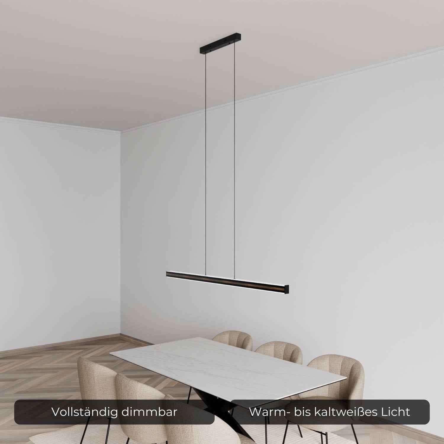 Bela Pendant Light | DALI-2 DT8 Design