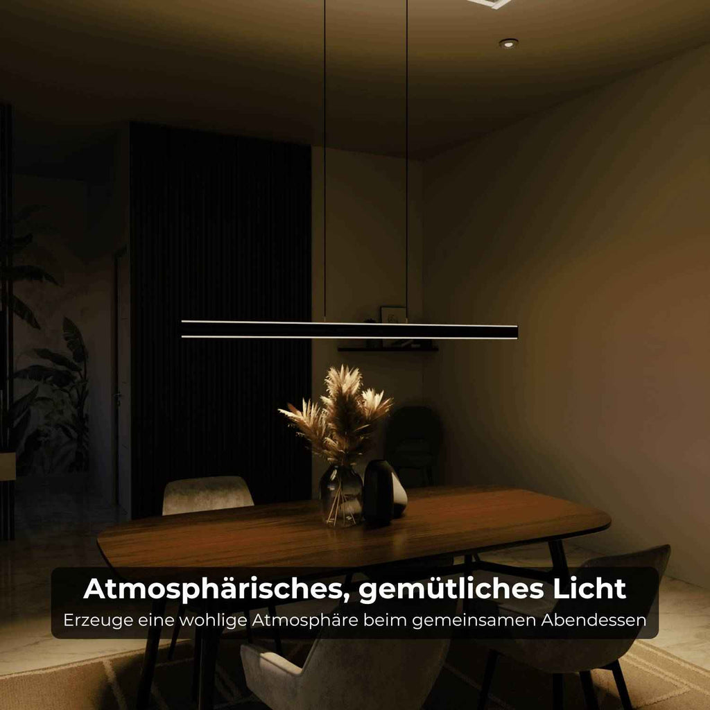 Bela Pendant Light | DALI-2 DT8 Design