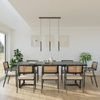 Bela Pendant Light | DALI-2 DT8, Adjustable Brightness