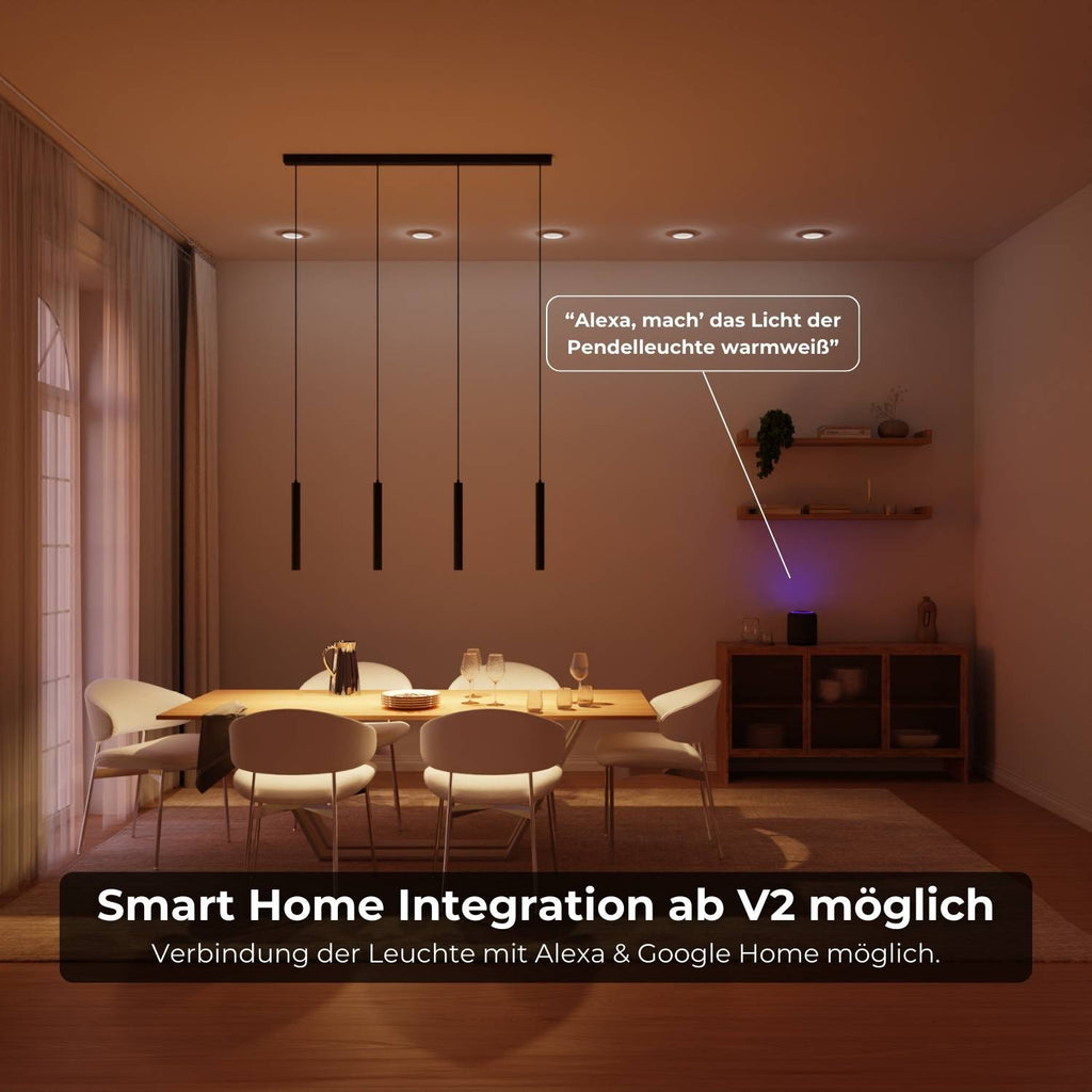 Liora Pendant Light | Adjustable Downward-Facing Heads