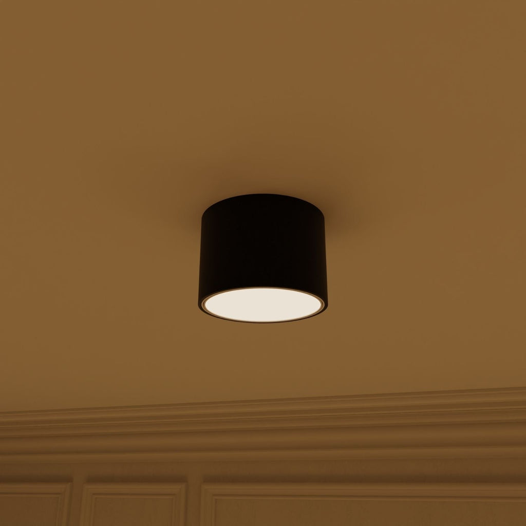 Nexa Ceiling Light | Adjustable LED, 2700K Warm White