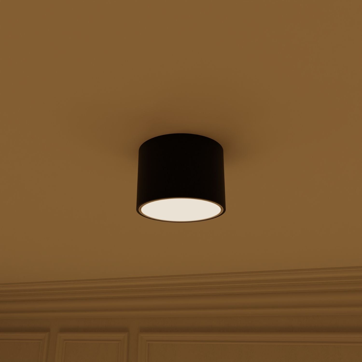 Nexa Ceiling Light | Adjustable LED, 2700K Warm White